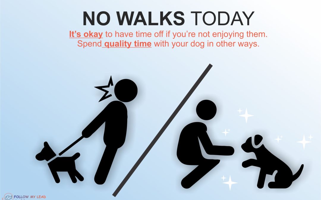 NO WALKS Today – It’s Okay!