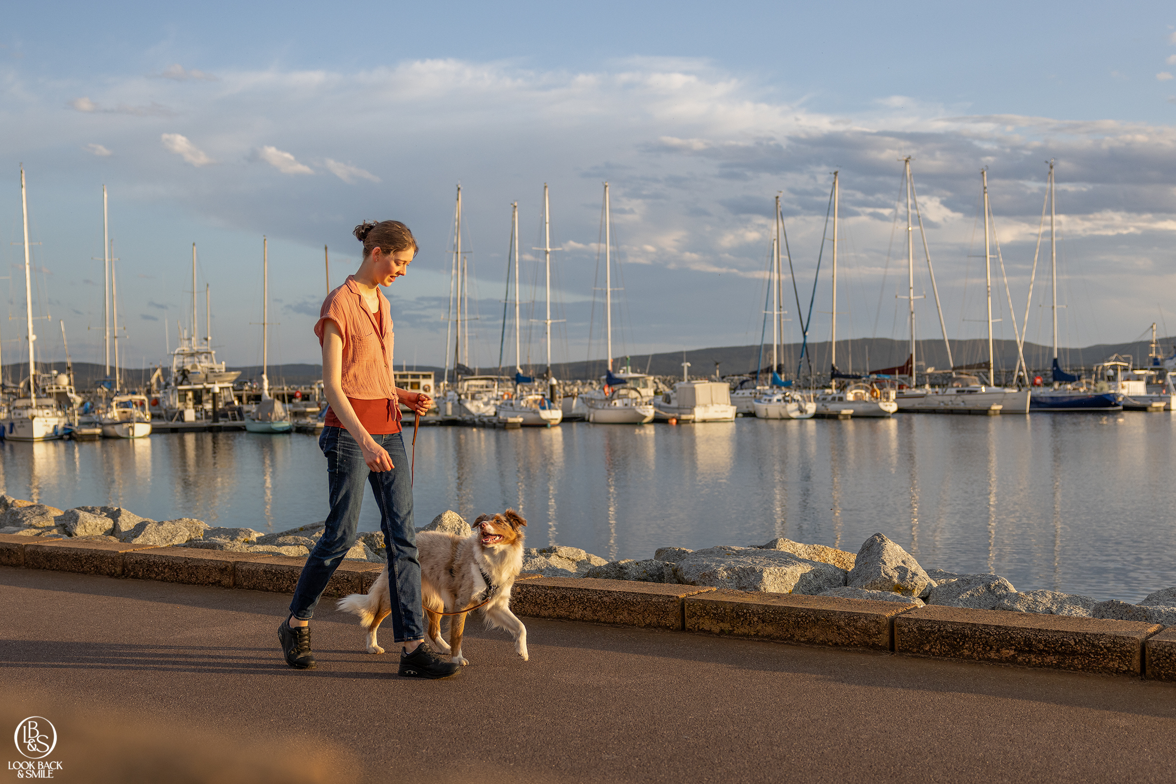 a trained dog going for a walk on middleton beach in Albany with their owner