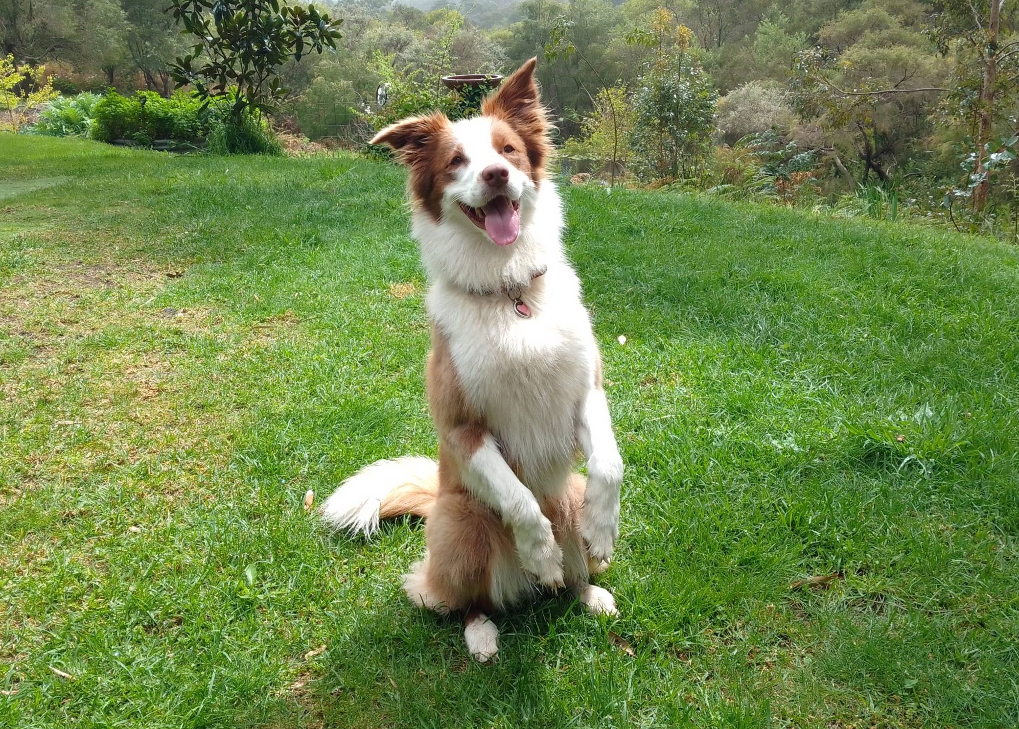 Sit Pretty